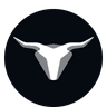 Currency icon
