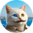 Currency icon