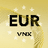 Currency icon