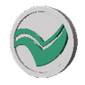 Currency icon