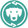 Currency icon