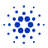 Currency icon