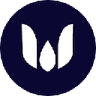 Currency icon