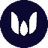 Currency icon