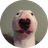 Currency icon