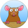 Currency icon
