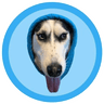 Currency icon