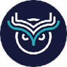 Currency icon