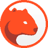 Currency icon