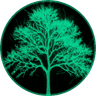Currency icon
