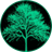 Currency icon