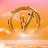Currency icon