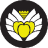 Currency icon