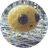 Currency icon