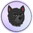Currency icon