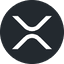 Currency icon